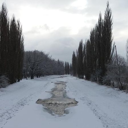 Penzion Hlinkova Plzeň Exteriör bild